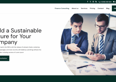 Finance Consulting